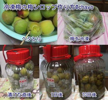 冷凍梅を使った梅シロップの作り方と使い方 初心者が失敗しないコツも紹介 田舎でゆったり暮らしたい