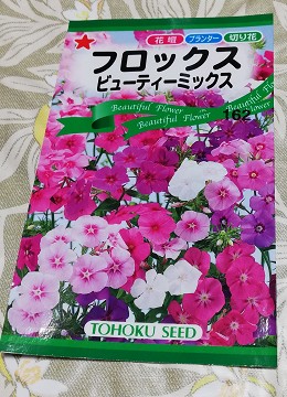 フロックスビューティーミックスの種を春まきした成長記録と育て方 田舎でゆったり暮らしたい