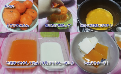 しわしわミカンが美味しい濃厚ゼリーに 牛乳ぷりんと併せて作り方を紹介 田舎でゆったり暮らしたい