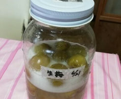 梅シロップ タグの記事一覧 田舎でゆったり暮らしたい